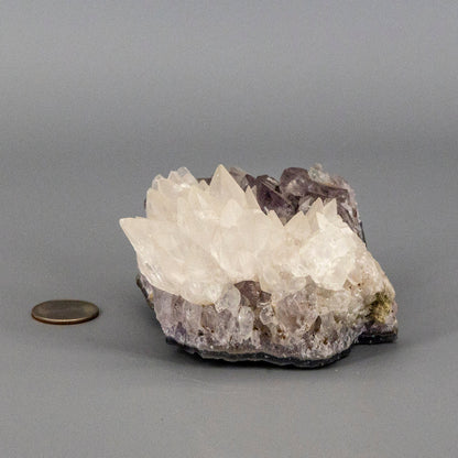 Dogtooth Calcite "Flower" on Amethyst Cluster - RARE! – Clusters