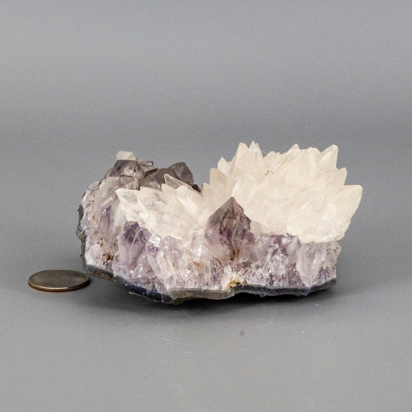 Dogtooth Calcite "Flower" on Amethyst Cluster - RARE! – Clusters