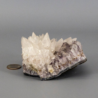 Dogtooth Calcite "Flower" on Amethyst Cluster - RARE! – Clusters