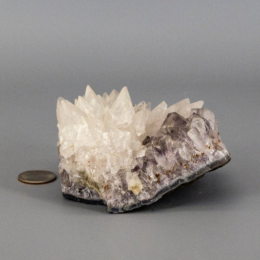 Dogtooth Calcite "Flower" on Amethyst Cluster - RARE! – Clusters