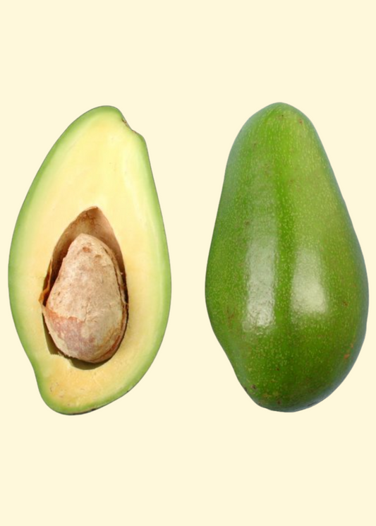 Avocado 'Donnie' (Persia americana)