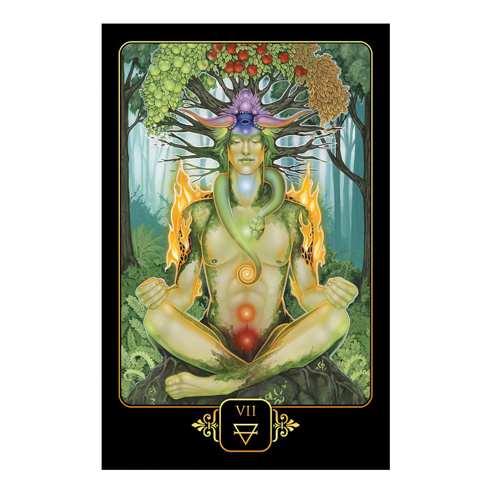 Dreams of Gaia Tarot – Tarot Cards