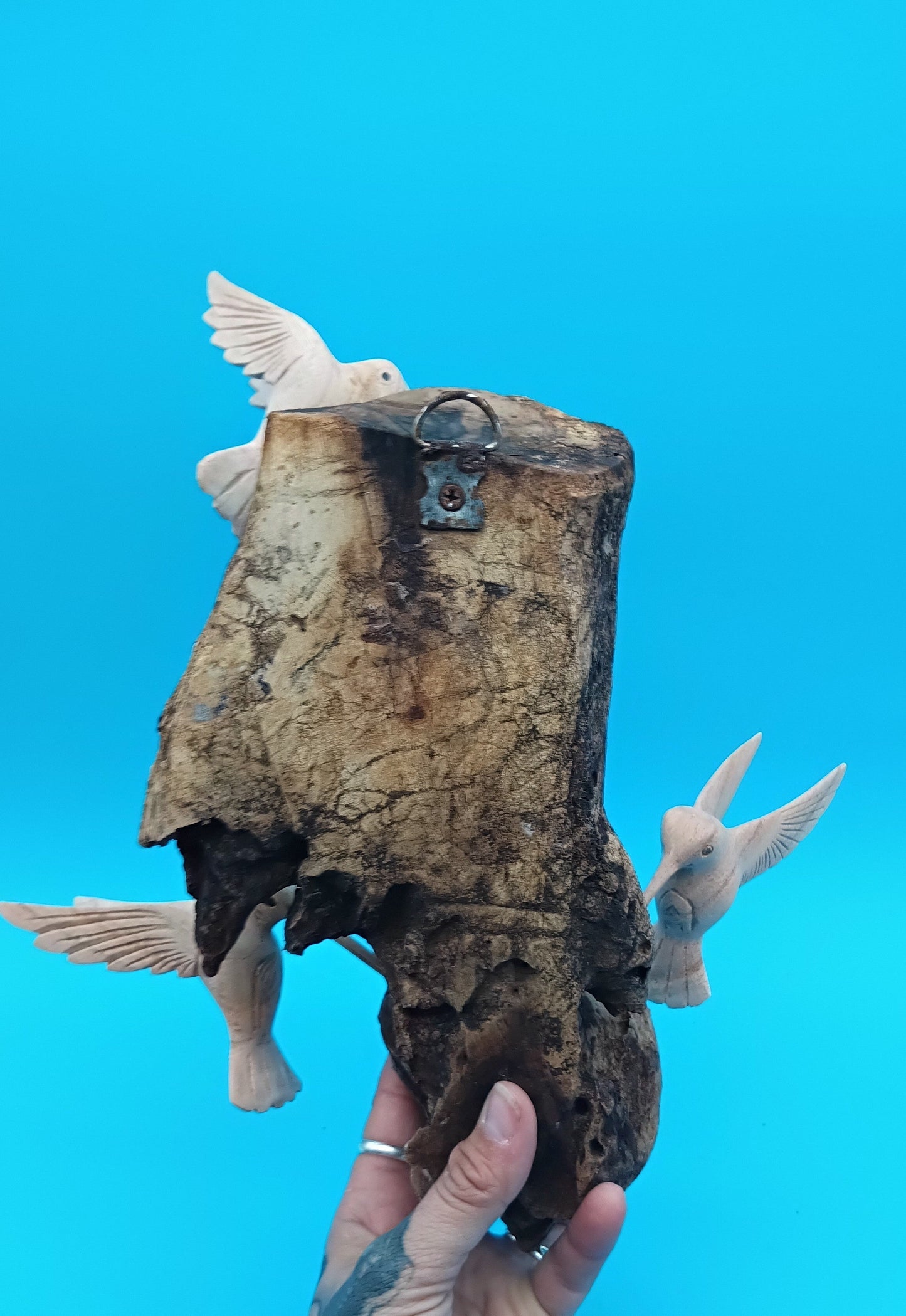 Driftwood Wall Art with Hand-Carved Hummingbirds – Wall Decor