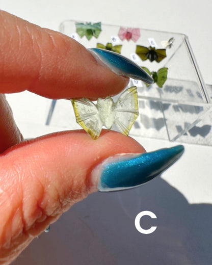 Tourmaline Bats –