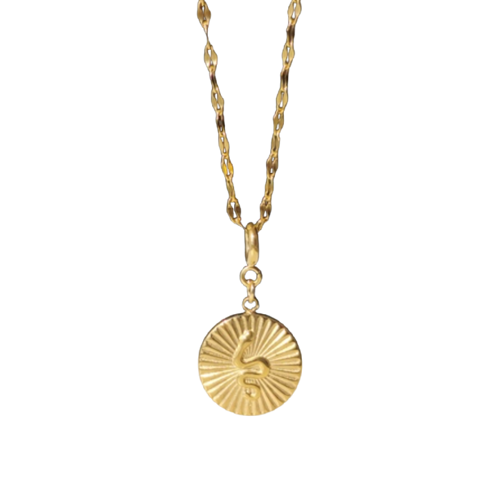Serpent Coin Necklace – Serpent Coin Necklaces