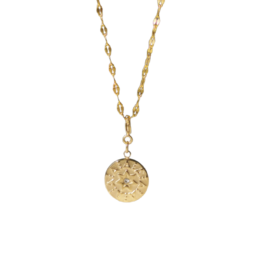 Serpent Coin Necklace – Medallion Necklaces