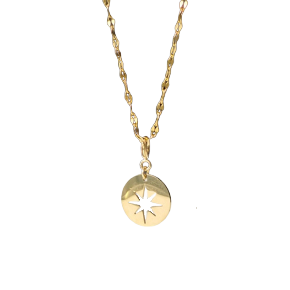 Serpent Coin Necklace – North Star Cutout Necklaces