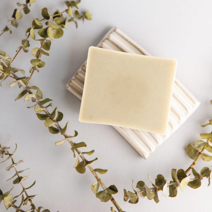 Eucalyptus + Lavender - Natural Bar Soap – Body Care