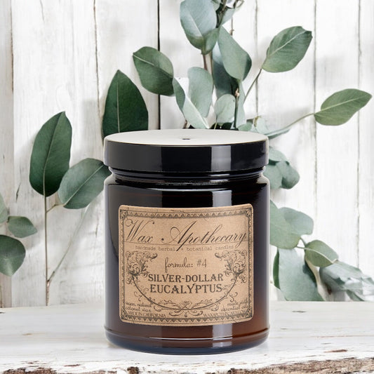 6 oz Botanical Candle in Amber Glass Jar - Silver-Dollar Eucalyptus – Candle
