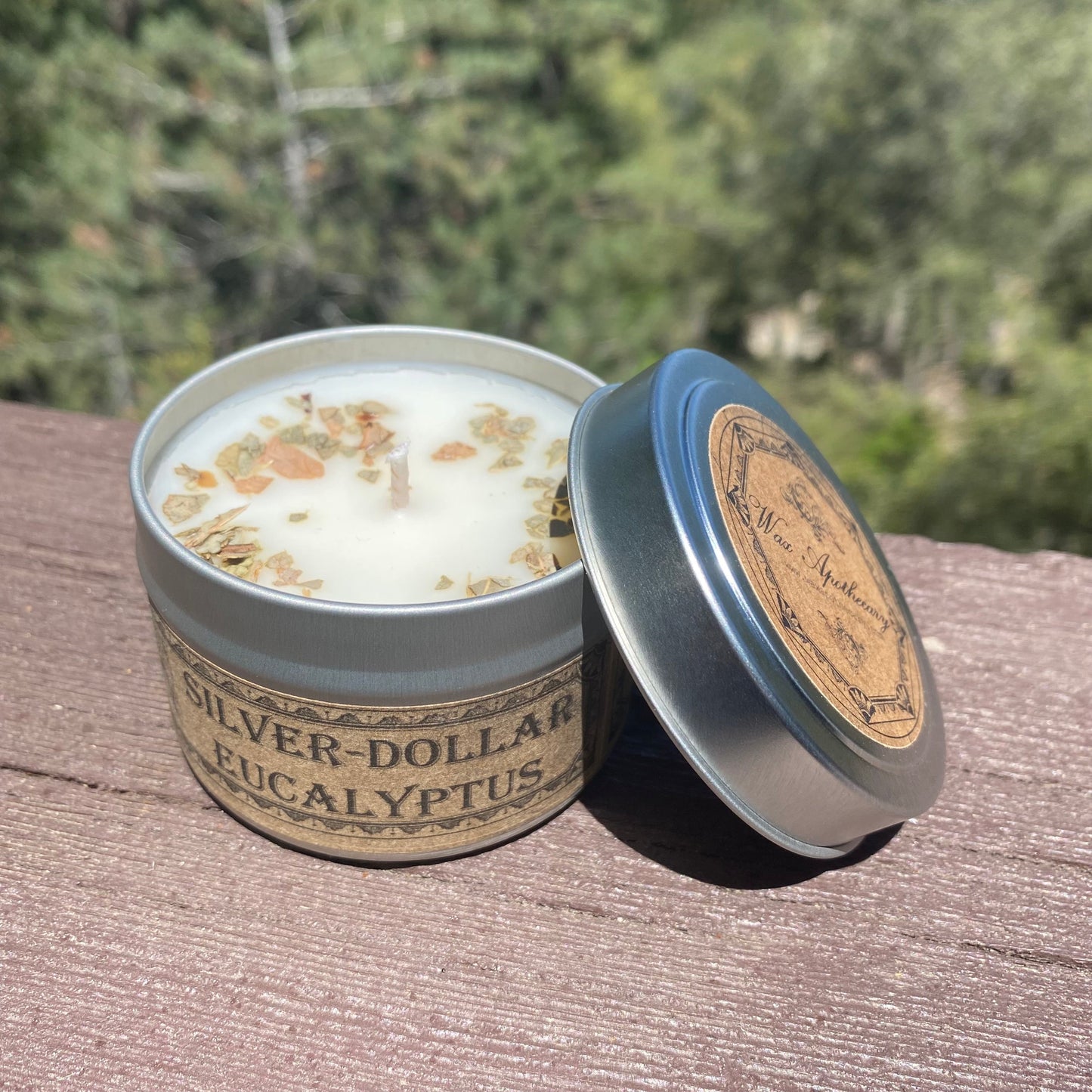 Silver-Dollar Eucalyptus Botanical Candle Travel Tin