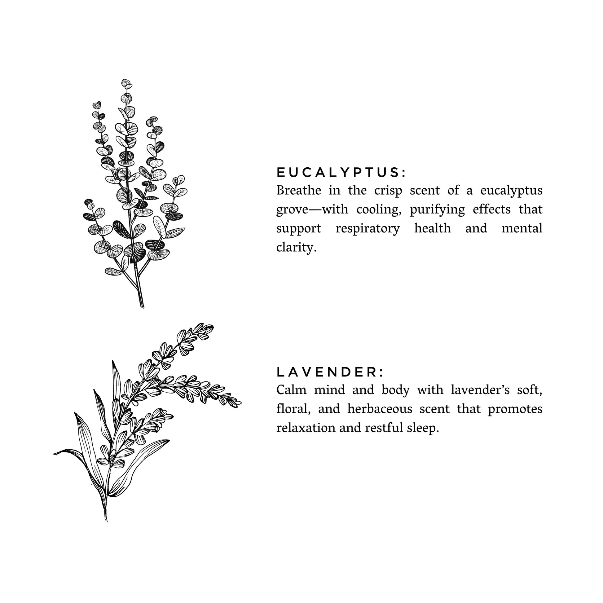Eucalyptus + Lavender - Natural Bar Soap – Body Care