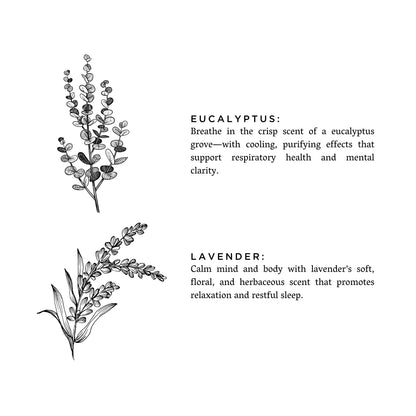 Eucalyptus + Lavender - Natural Bar Soap – Body Care