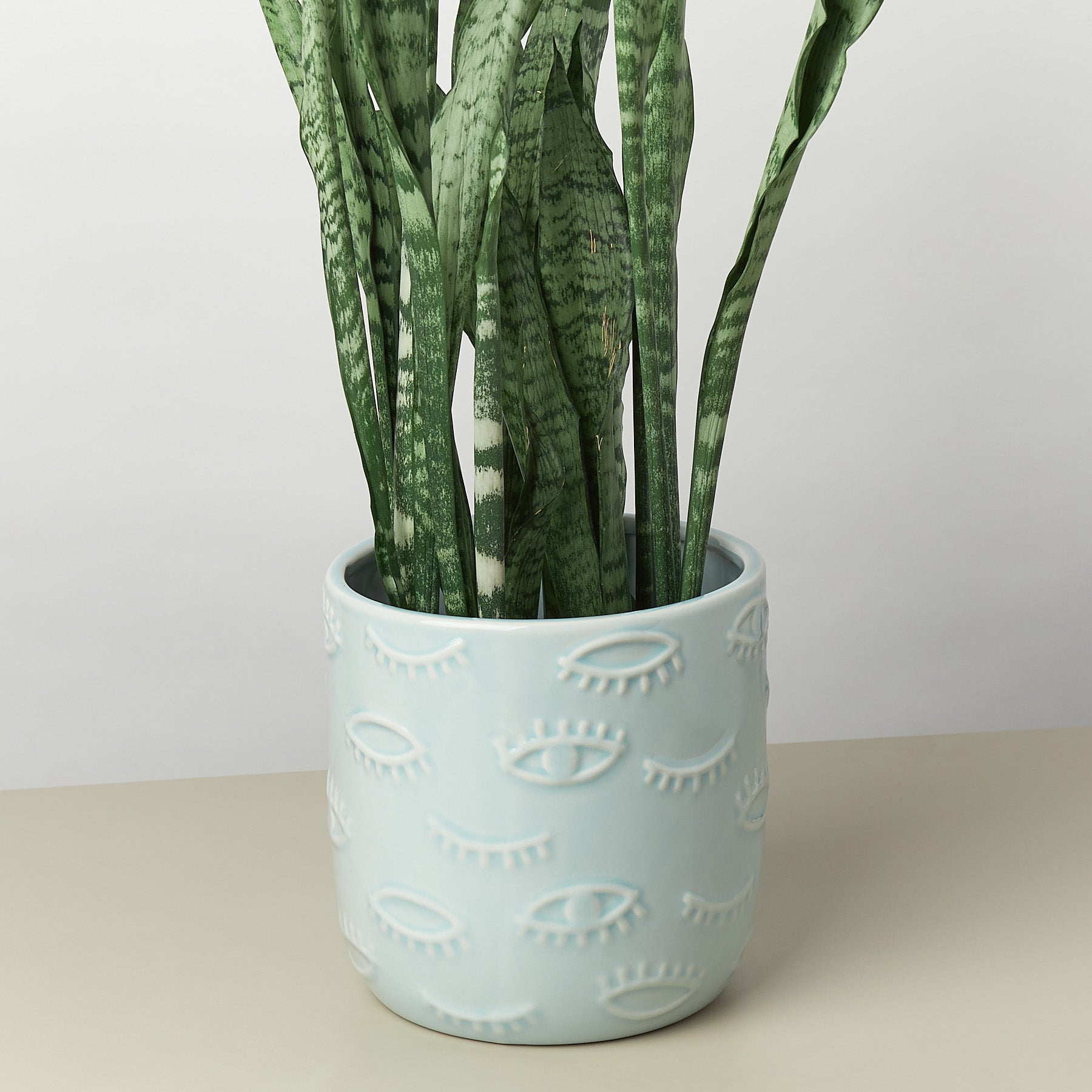 evil eye planter pot Evil Eyes Pot