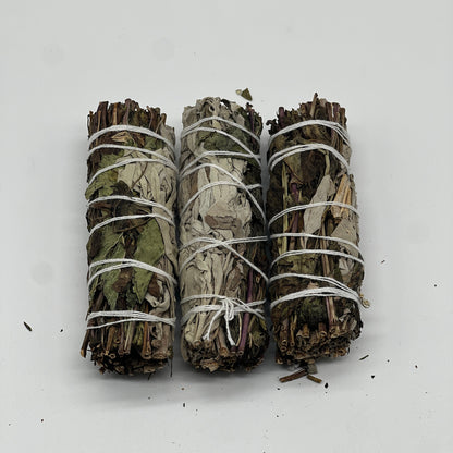 Peppermint & White Sage Smudging Sticks - 4" - Native-Owned, Sustainably Harvested