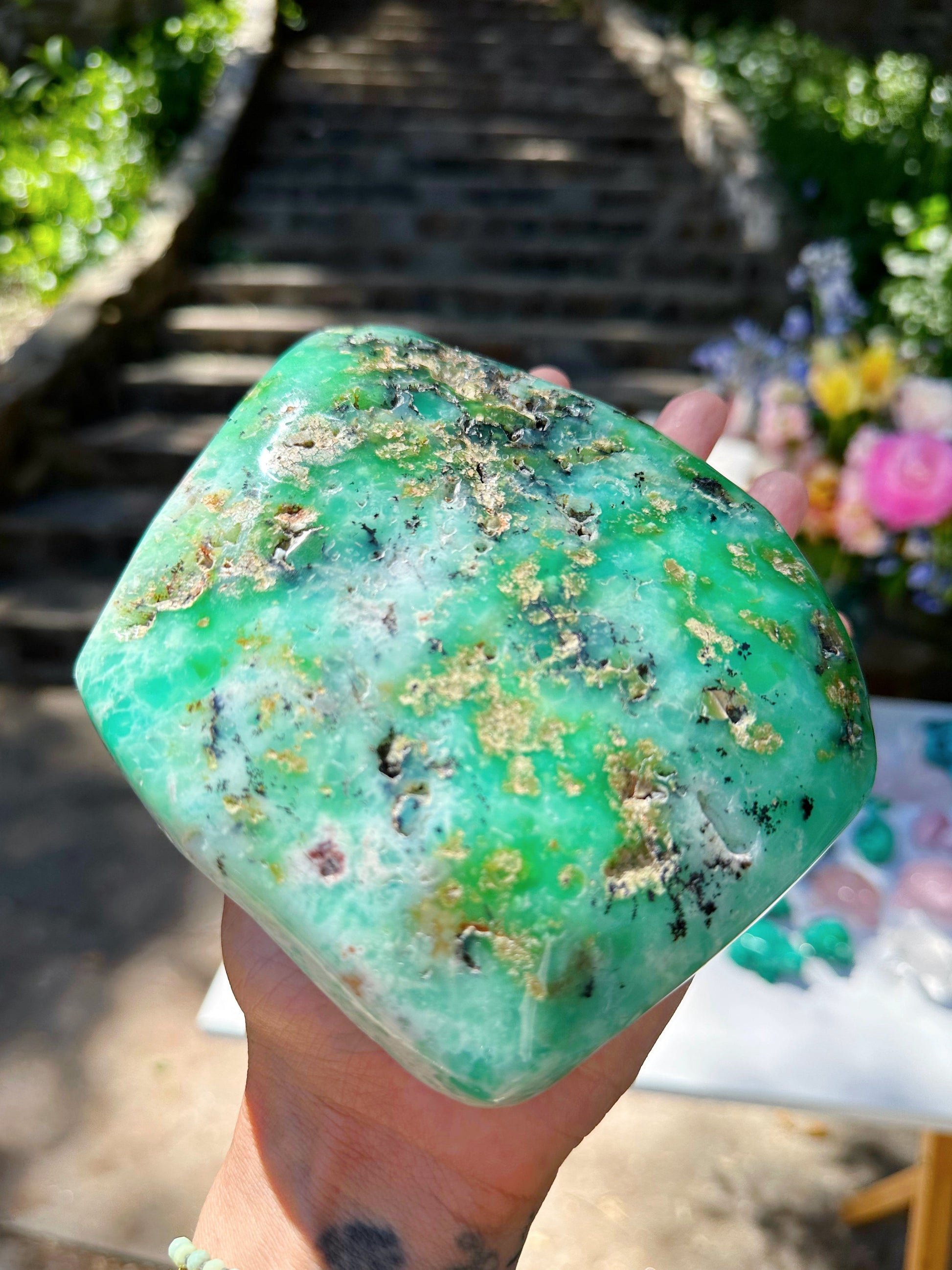 Chrysoprase Freeform - from Australian –