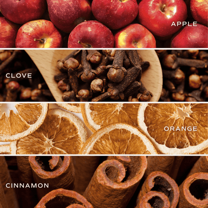 Farmhouse Apple Pumpkin Spice Reed Diffuser – Reed Diffusers