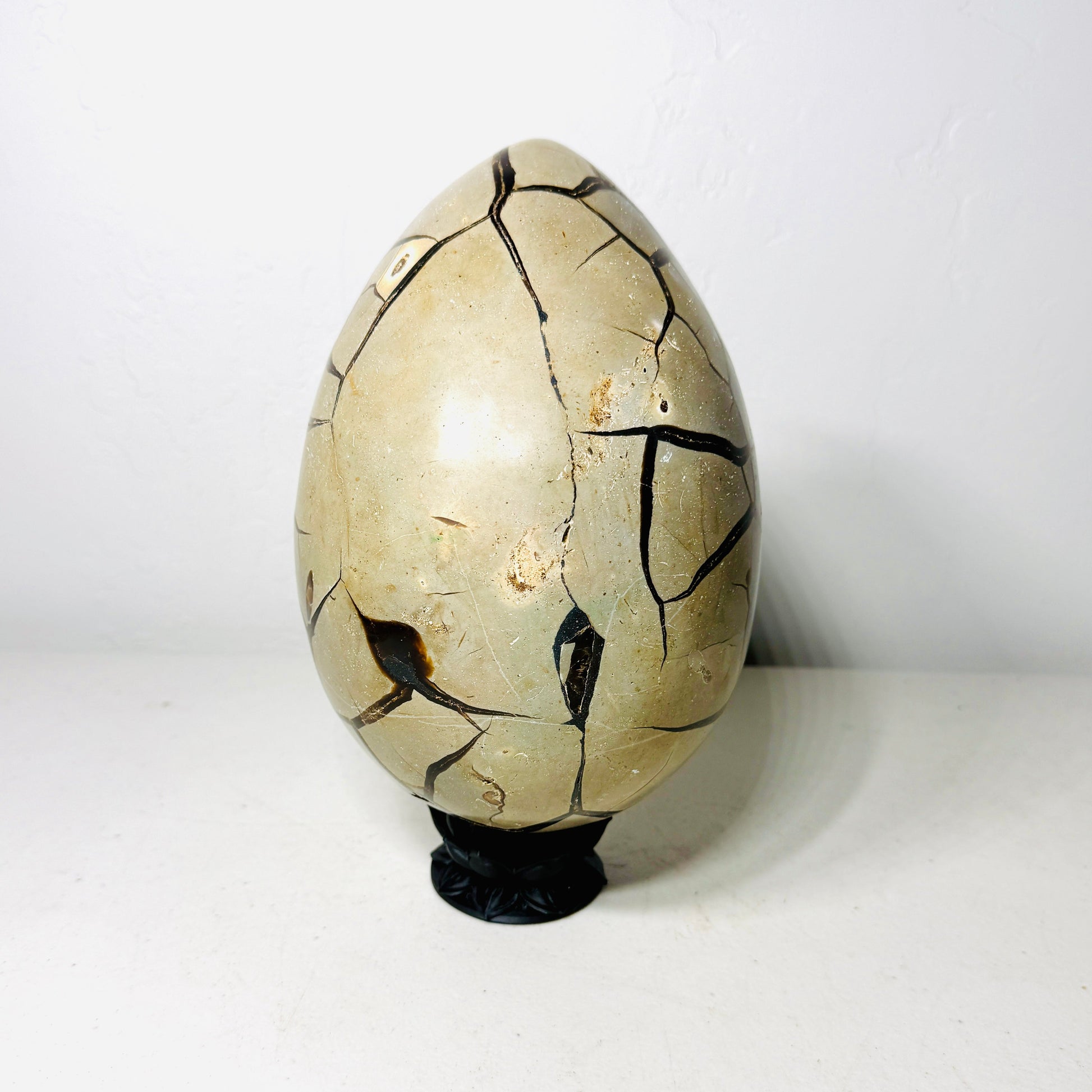 Black Septarian Dragon Egg – 10.2 lb with Stand –