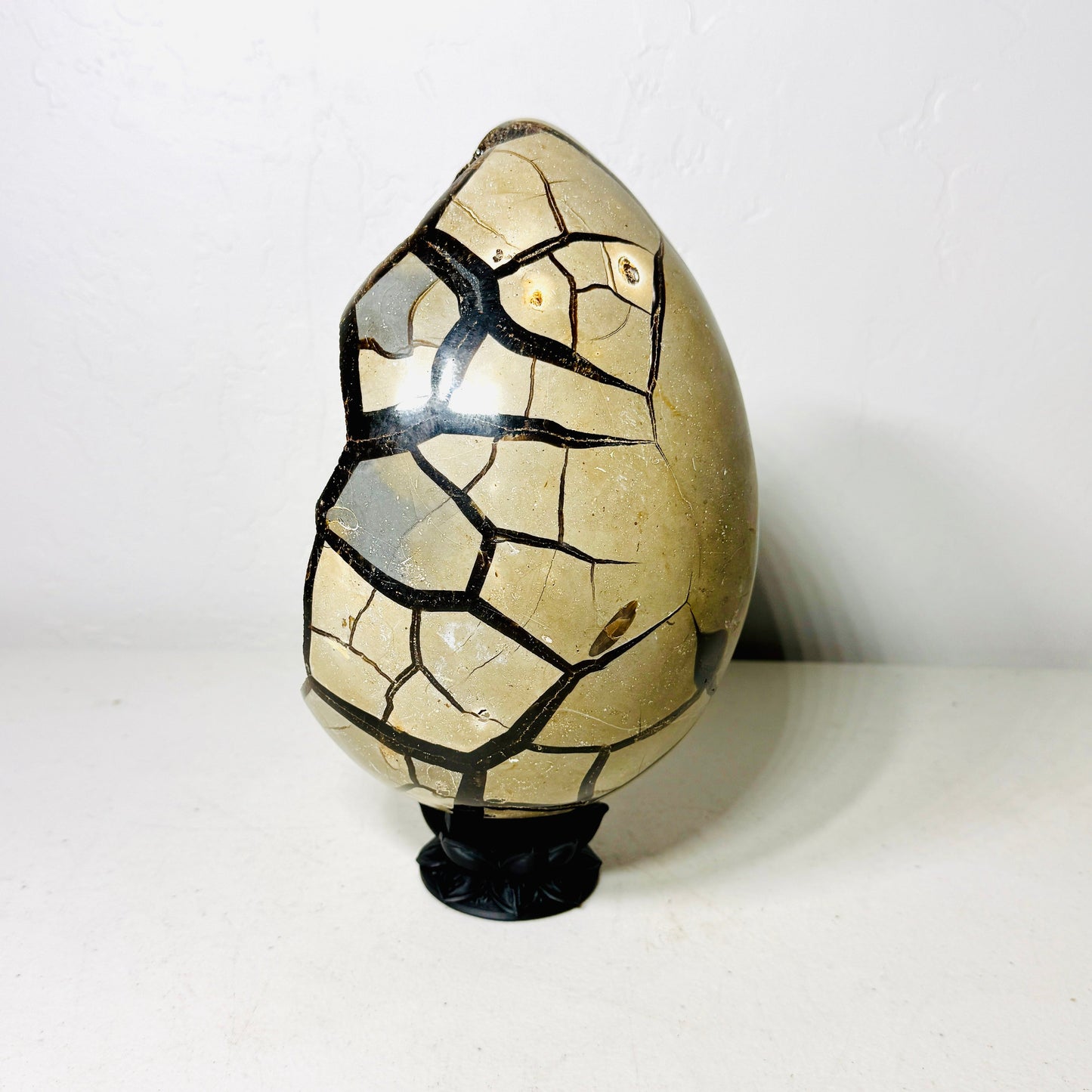 Black Septarian Dragon Egg – 10.2 lb with Stand –