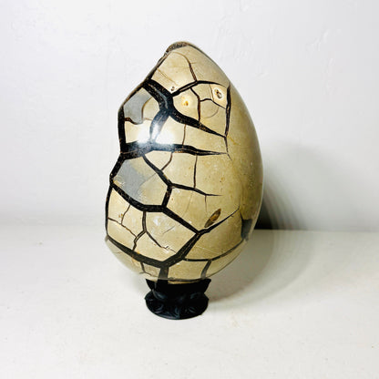 Black Septarian Dragon Egg – 10.2 lb with Stand –