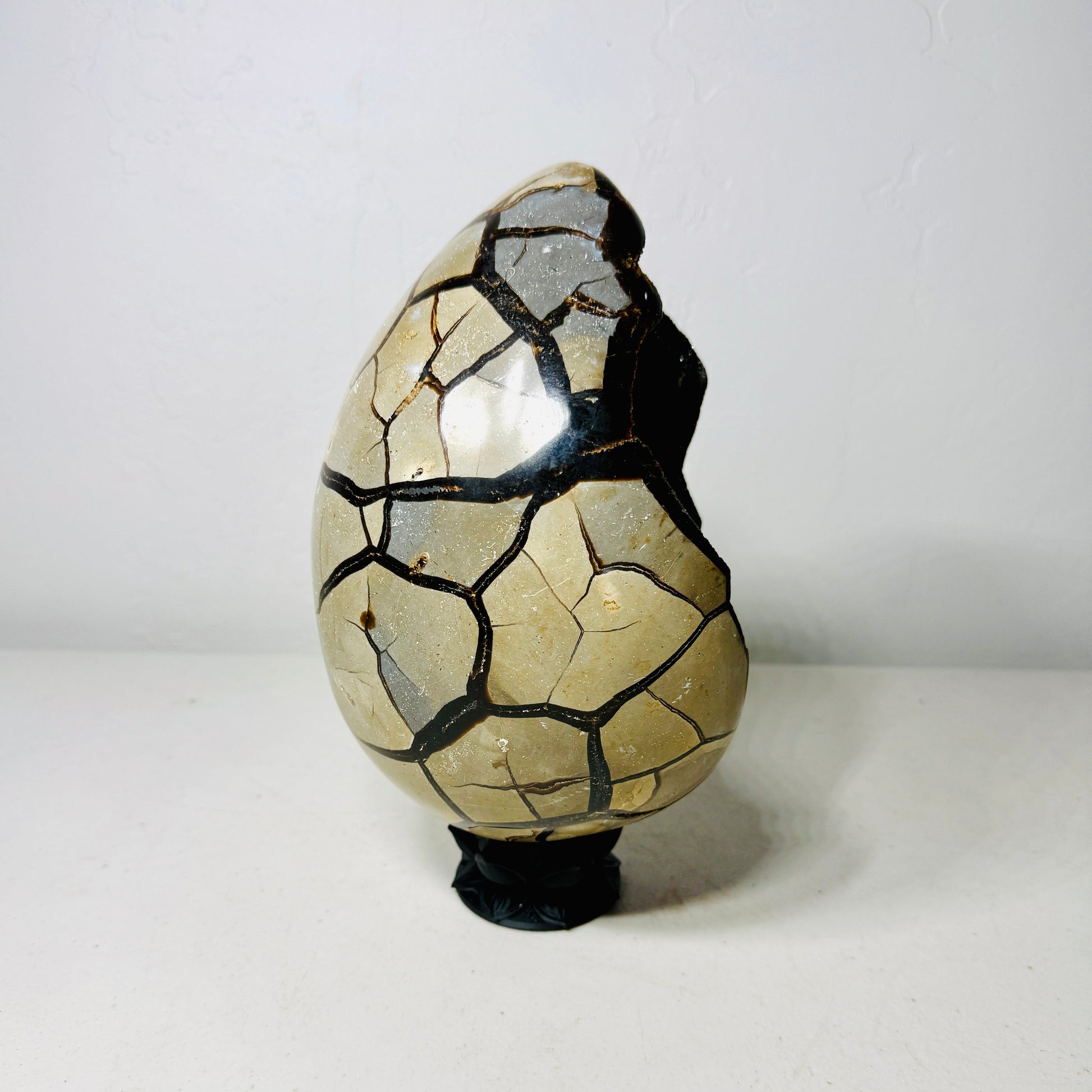 Black Septarian Dragon Egg – 10.2 lb with Stand –
