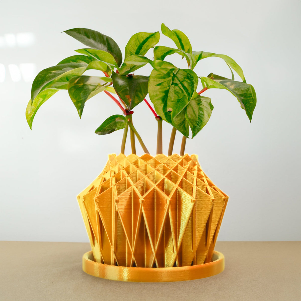 Galaxy Groove Geometric Plant Pot | 3D-Printed Planter