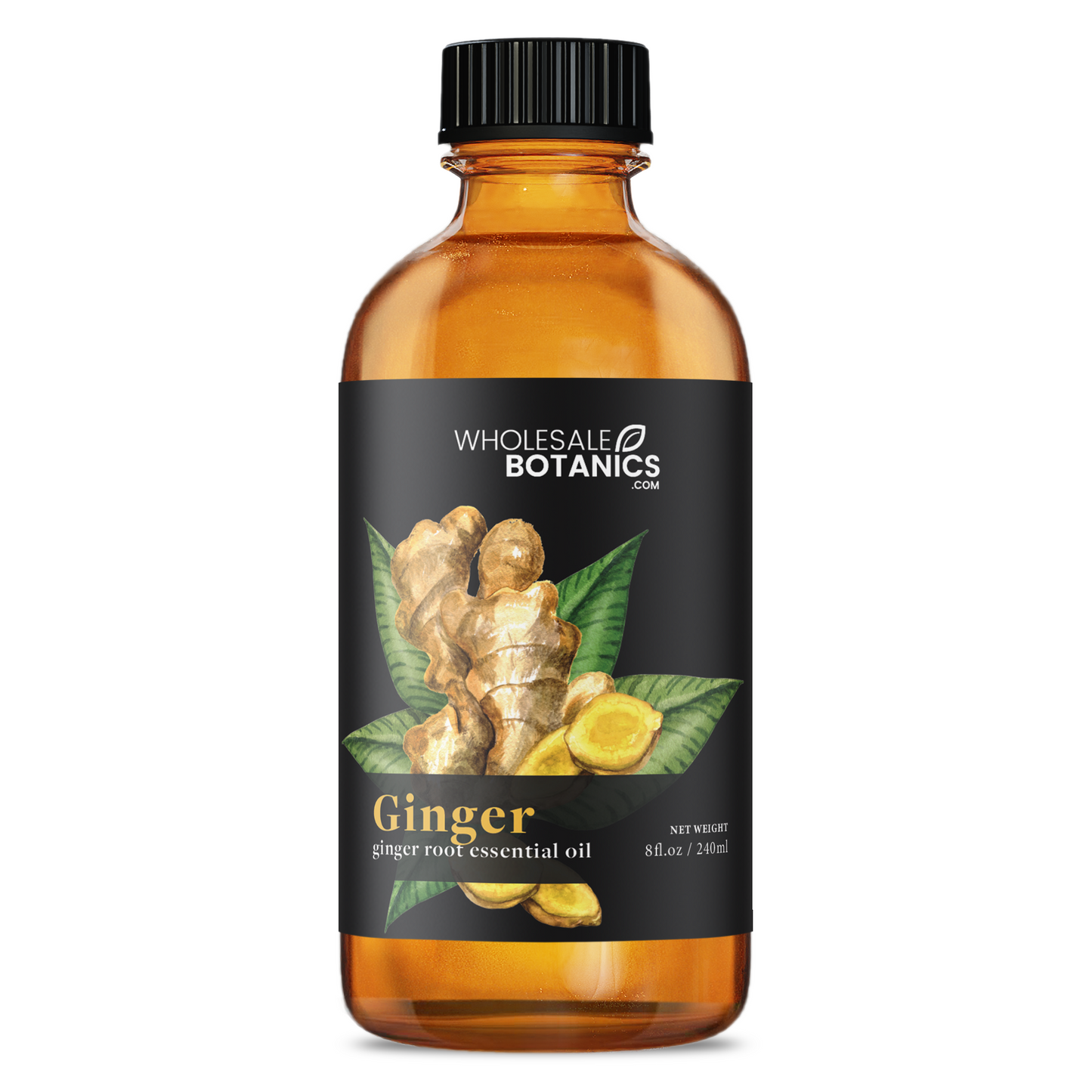 Ginger Root Essential Oil – 8 oz Essential_Oil