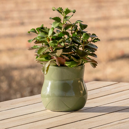 Ceramic Plant Pot with Removable Rubber Liner, Forest Green