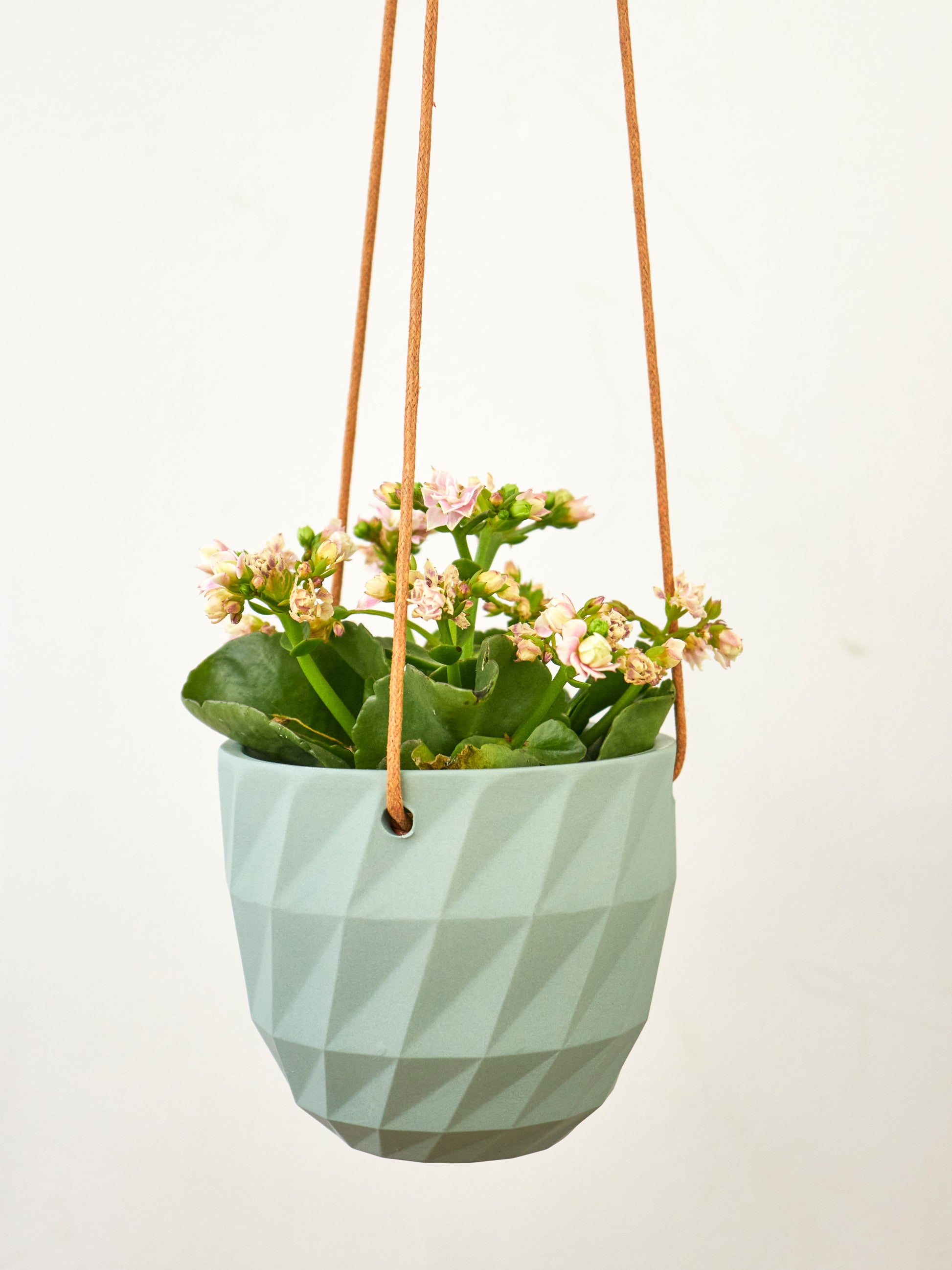 Virago Modern Hanging Planter- Grid – plant pot
