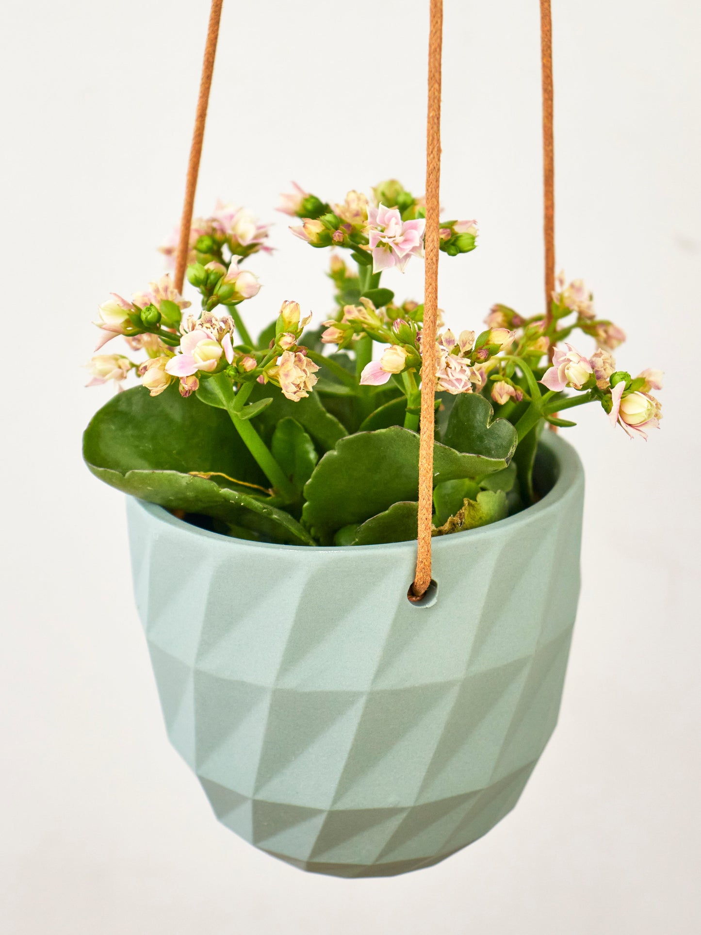 Virago Modern Hanging Planter- Grid – plant pot