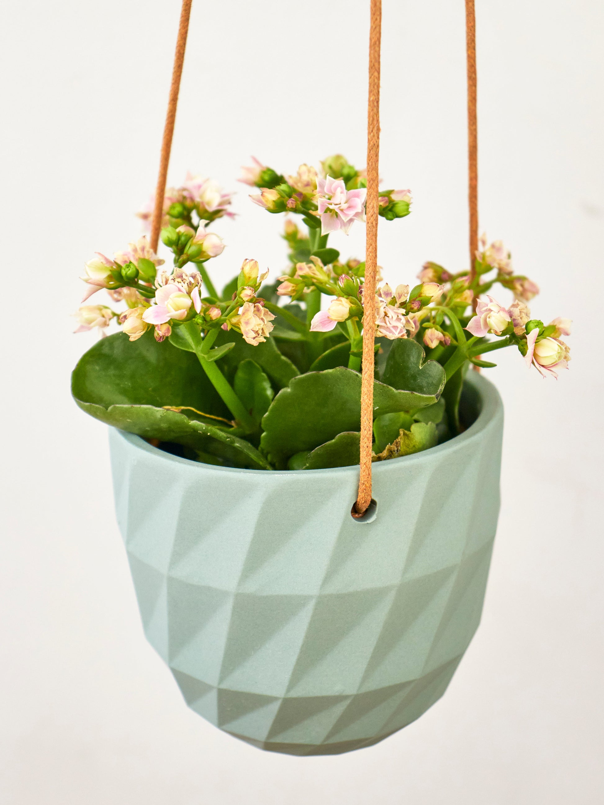 Virago Modern Hanging Planter- Grid – plant pot