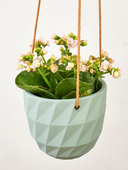 Virago Modern Hanging Planter- Grid – plant pot