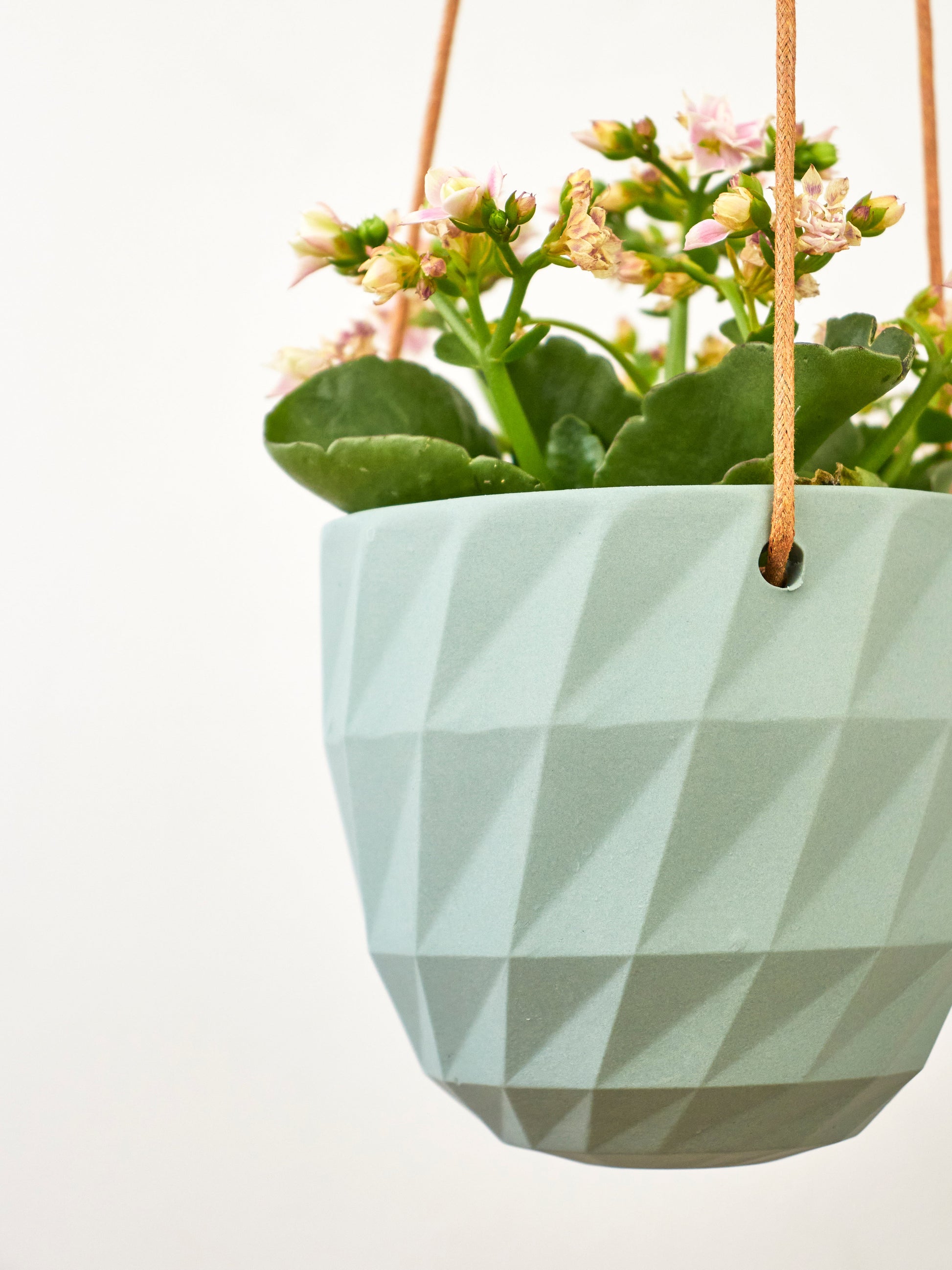 plant hanging grid Virago Modern Hanging Planter- Grid White
