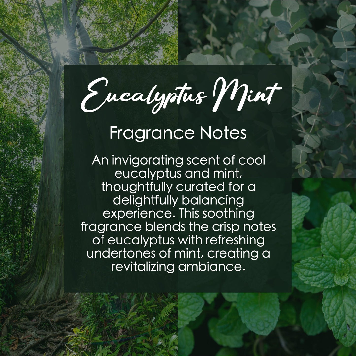 Eucalyptus Mint Crystal Candle with Garnet | Coconut-Soy Wax Candle, 9oz – Crystal Candle