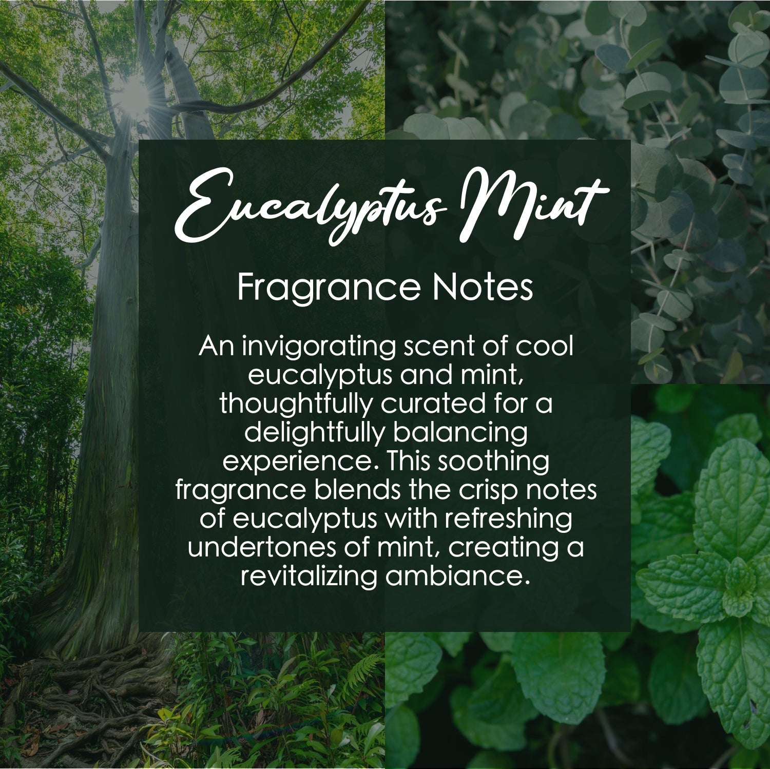 Eucalyptus Mint Crystal Candle with Garnet | Coconut-Soy Wax Candle, 9oz – Crystal Candle