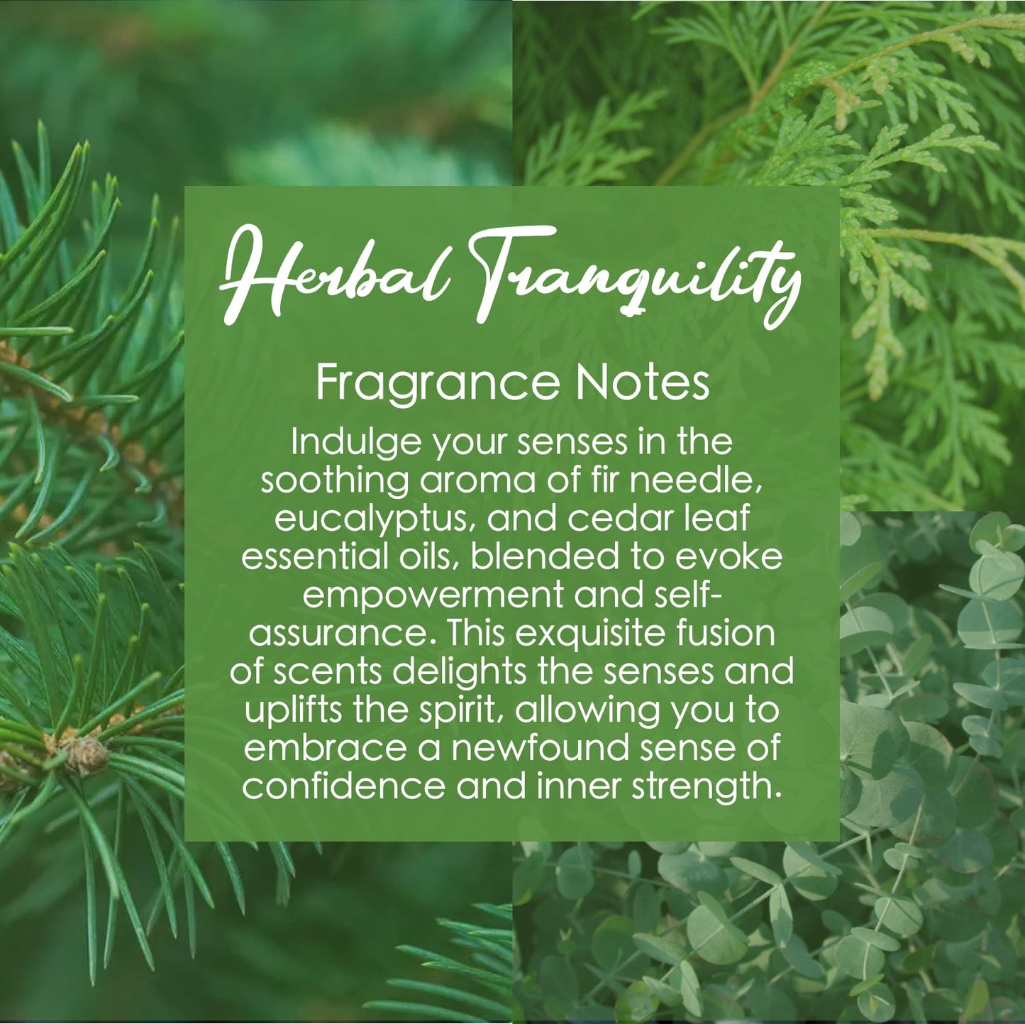 Solar Plexus Chakra Crystal Candle with Citrine | Coconut-Soy Wax Candle, 9oz