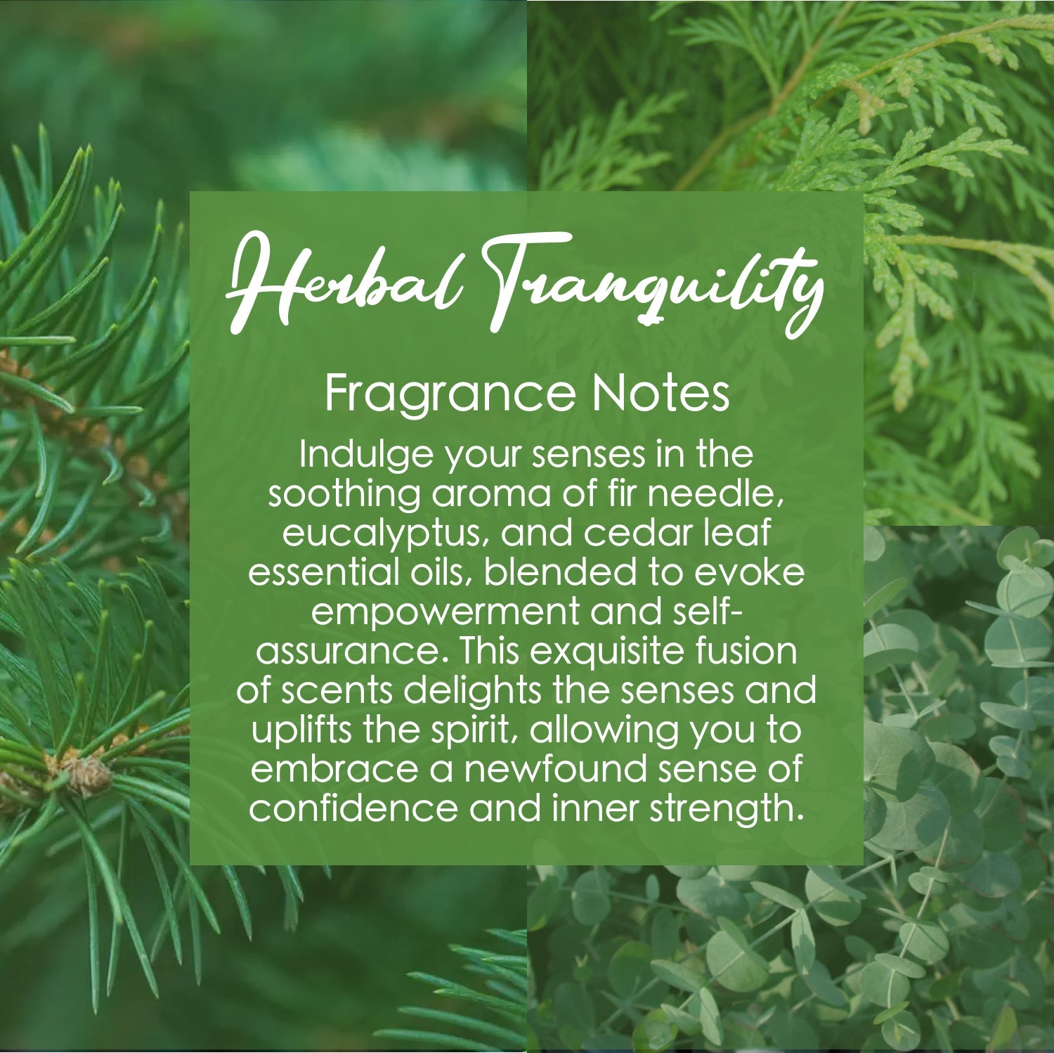 Herbal Tranquility Crystal Candle with Citrine | Coconut-Soy Wax Candle, 9oz – Crystal Candle