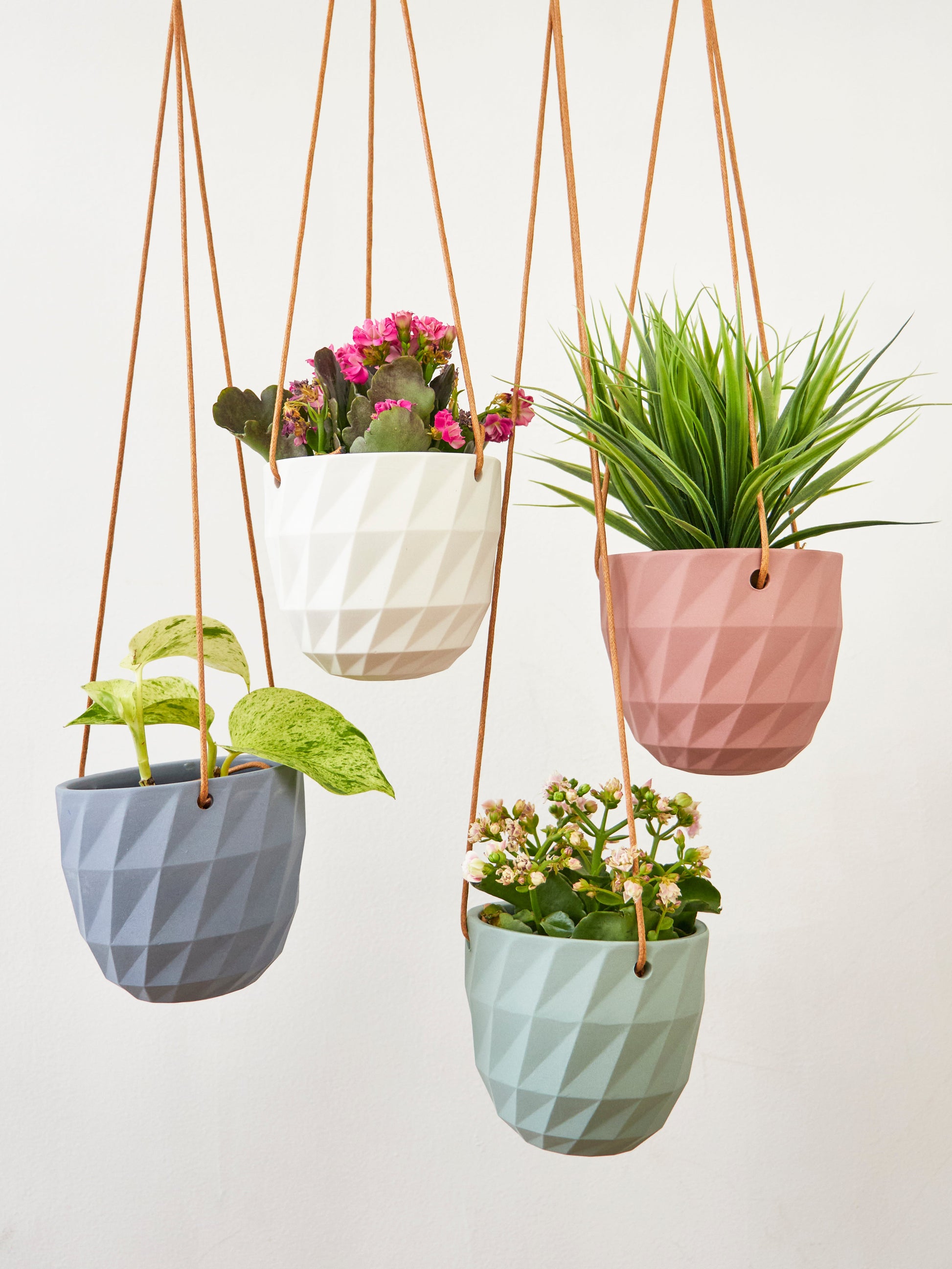 plant hanging grid Virago Modern Hanging Planter- Grid White