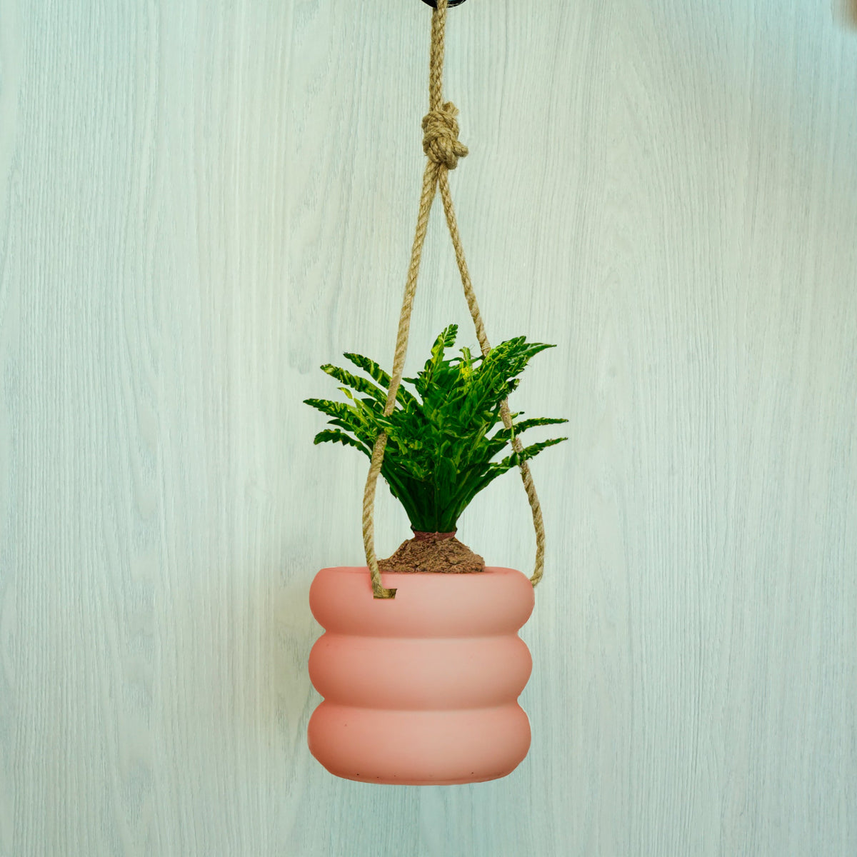 Hanging Bubble Planter with Hemp Cord | 4–9 Inch Plant Pot