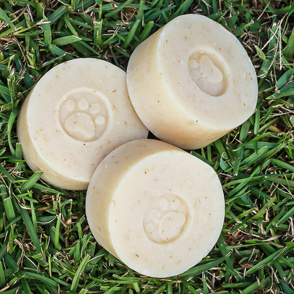 Healthy Pup Dog Shampoo