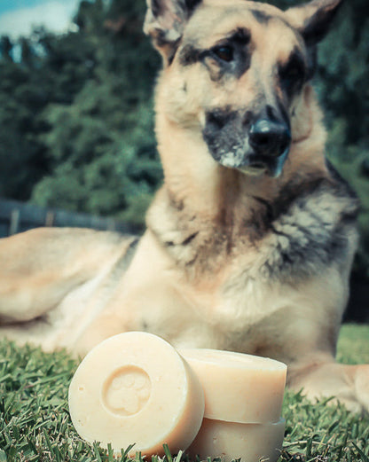 Healthy Pup Dog Shampoo