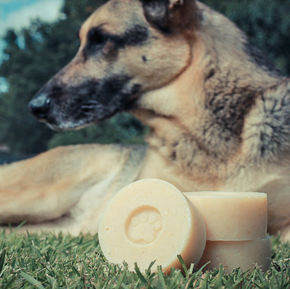 Healthy Pup Dog Shampoo