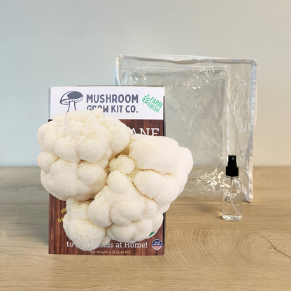 Premium Lion's Mane Mushroom Growing Kit - 5 LBS – Yes Lion's Mane