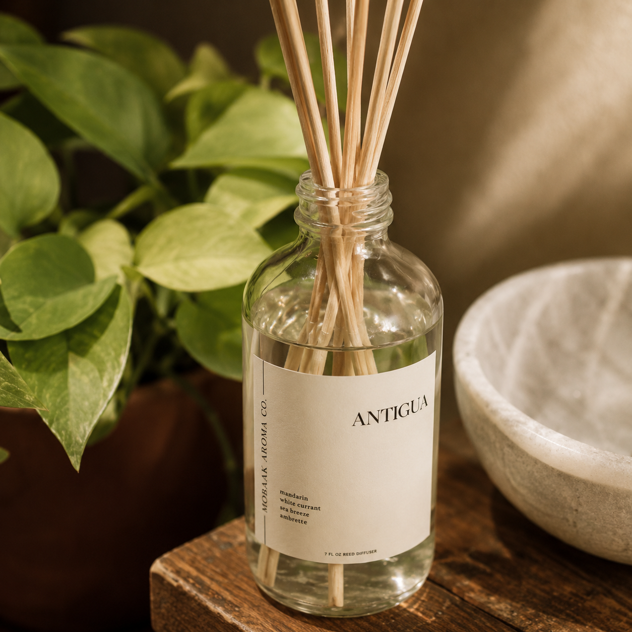Antigua Reed Diffuser –