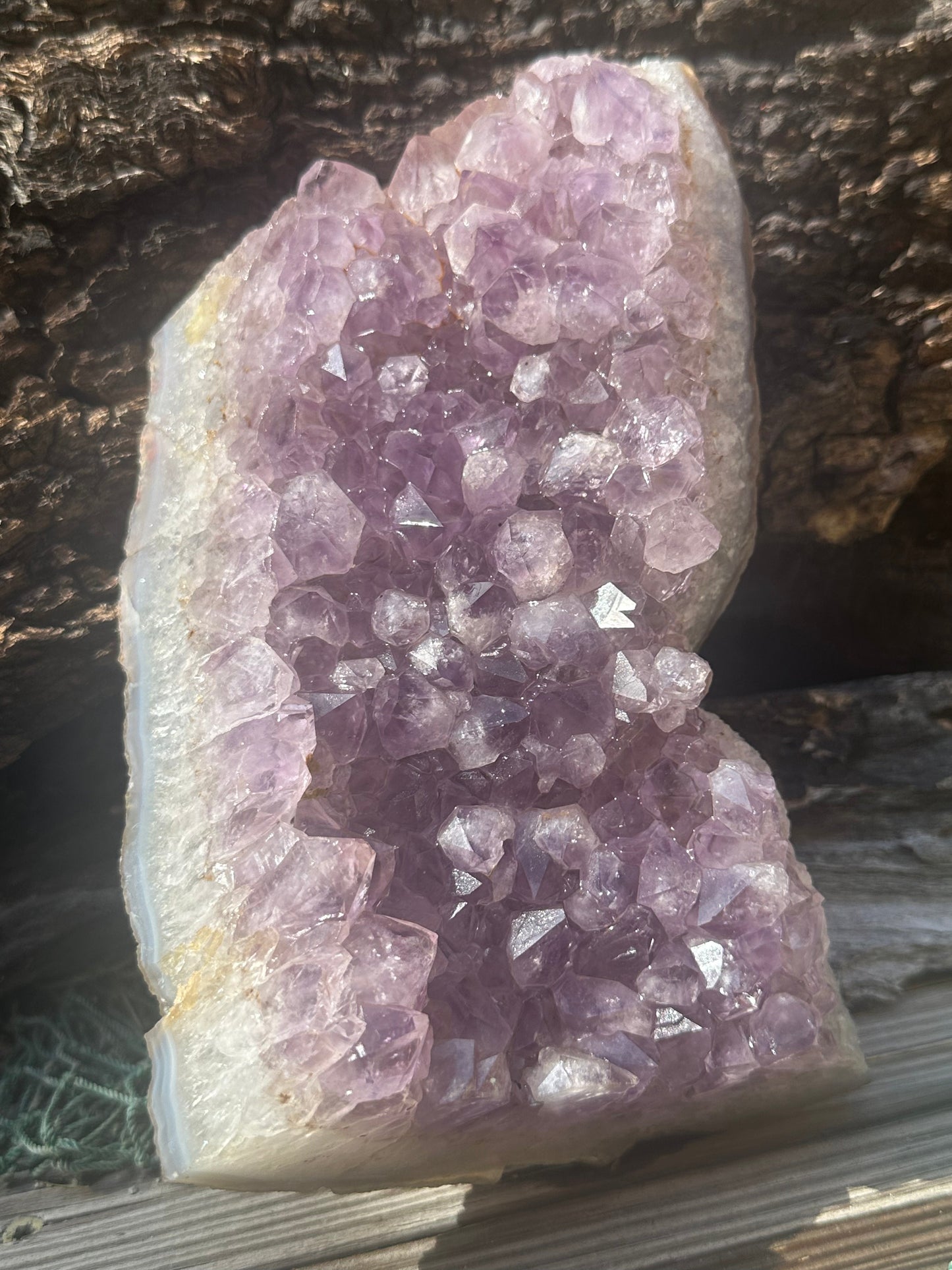 Natural Amethyst Cluster Crystal Specimen-Raw Purple Quartz Geode (7.9x4.7x2.3) – rocks and fossils