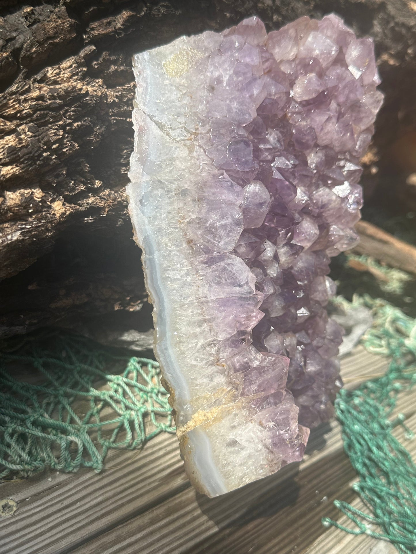 Natural Amethyst Cluster Crystal Specimen-Raw Purple Quartz Geode (7.9x4.7x2.3) – rocks and fossils