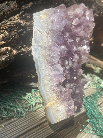 Natural Amethyst Cluster Crystal Specimen-Raw Purple Quartz Geode (7.9x4.7x2.3) – rocks and fossils