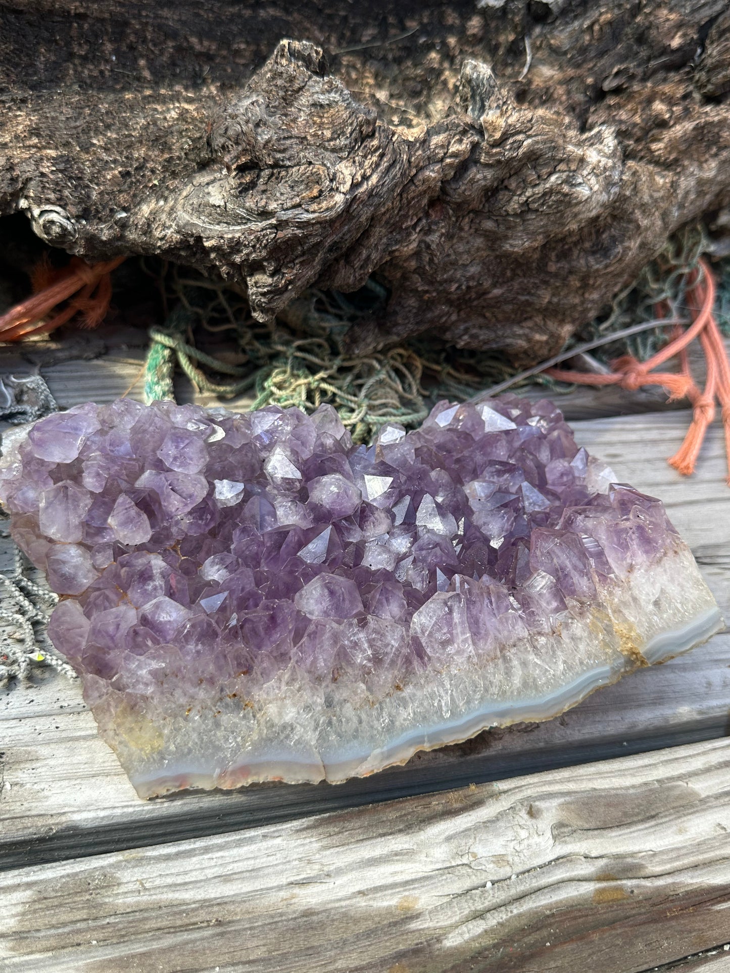 Natural Amethyst Cluster Crystal Specimen-Raw Purple Quartz Geode (7.9x4.7x2.3) – rocks and fossils