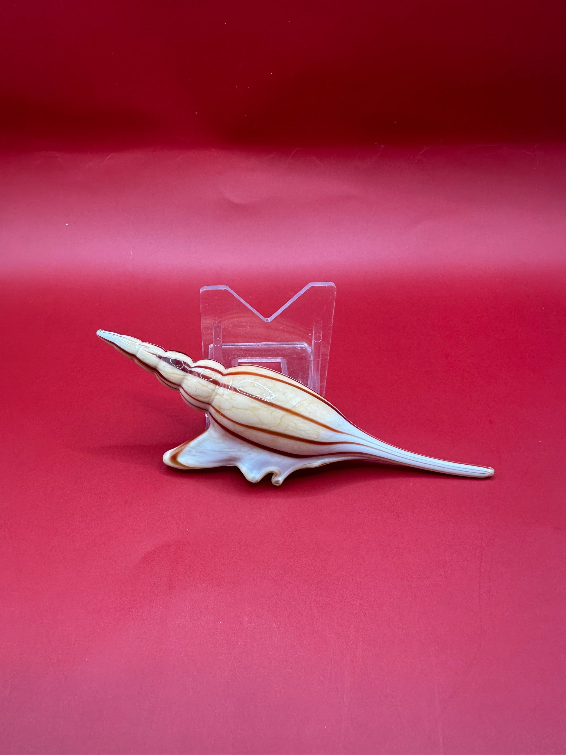 Glass Shell Sculpture – Coastal Home Decor 5-Inch Accent – Home & Garden > Home Decor > Decorative Objects