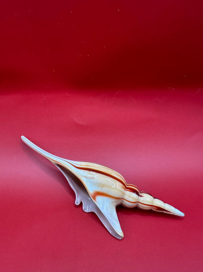 Glass Shell Sculpture – Coastal Home Decor 5-Inch Accent – Home & Garden > Home Decor > Decorative Objects