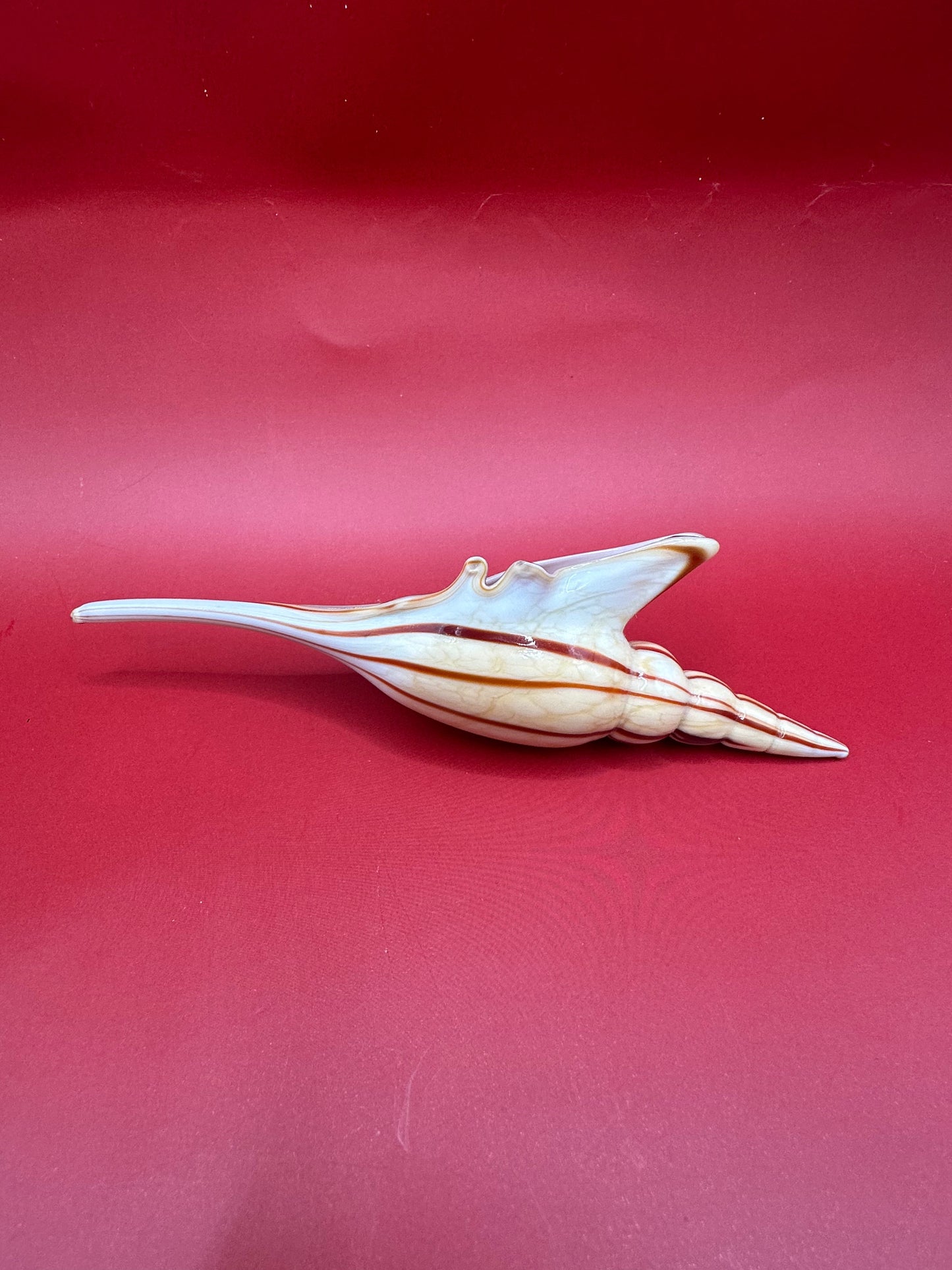 Glass Shell Sculpture – Coastal Home Decor 5-Inch Accent – Home & Garden > Home Decor > Decorative Objects